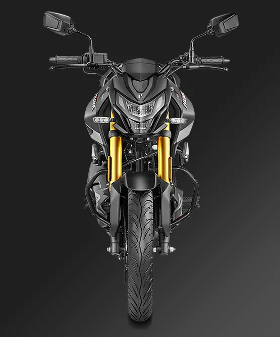 Motor 160 cc 4V en la Hero Hunk 160R 4V